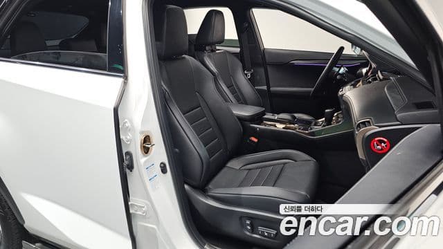 Lexus NX300 2020 — ფოტო 10/20