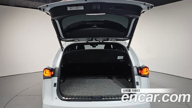 Lexus NX300 2020 — ფოტო 20/20