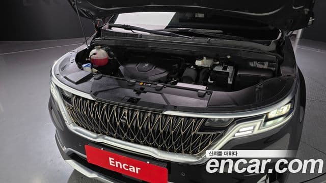 Kia Carnival 2020 — ფოტო 6/20