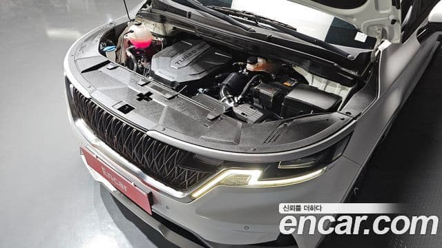 Kia Carnival 2021 — ფოტო 6/20