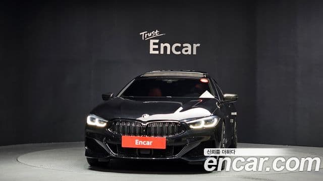 BMW 8 Series 2019 — Photo 11/20