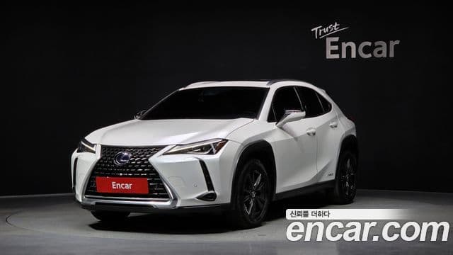 Lexus UX250h 2020 — Şəkil 6/20