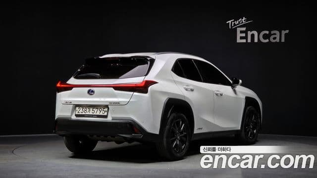 Lexus UX250h 2020 — Şəkil 10/20