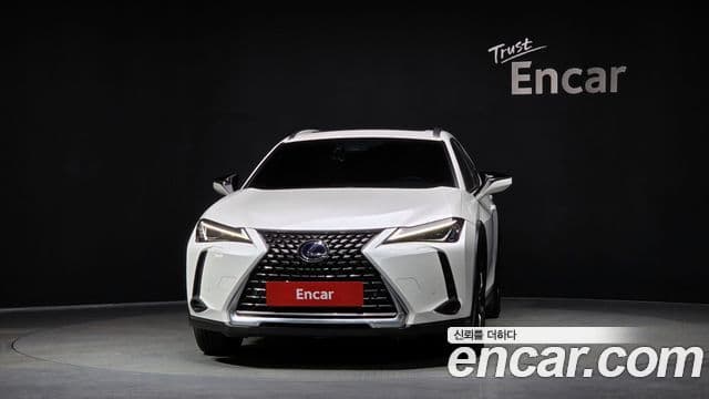 Lexus UX250h 2020 — Şəkil 2/20