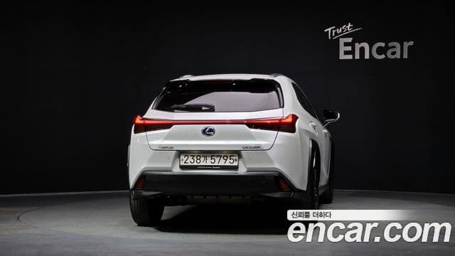 Lexus UX250h 2020 — Şəkil 8/20