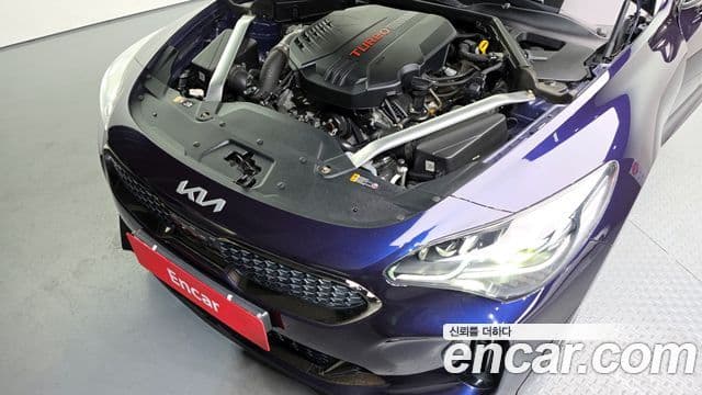 Kia Stinger Meister 2021 — Photo 11/20