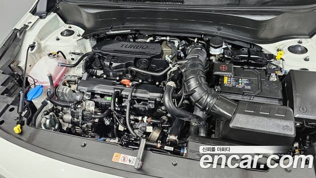 Kia Seltos 2024 — ფოტო 6/20