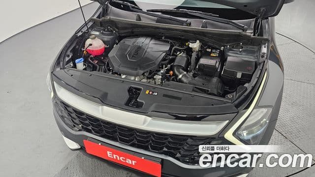 Kia Sportage 2021 — ფოტო 6/20