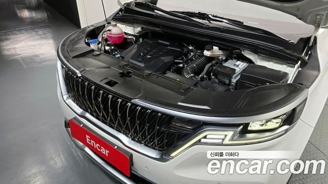 Kia Carnival 2021 — ფოტო 6/20