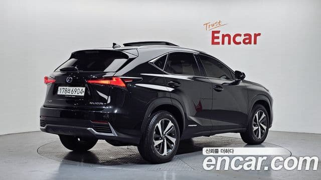 Lexus NX300h 2020 — ფოტო 2/20