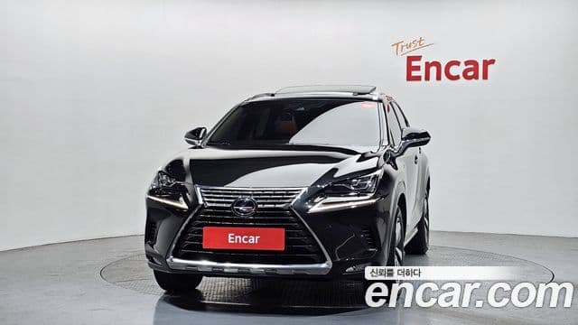 Lexus NX300h 2020 — ფოტო 3/20