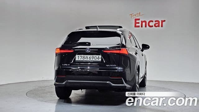 Lexus NX300h 2020 — Şəkil 4/20