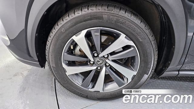 Lexus NX300h 2020 — ფოტო 5/20