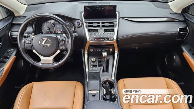 Lexus NX300h 2020 — ფოტო 7/20