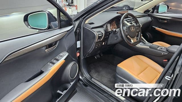 Lexus NX300h 2020 — ფოტო 10/20