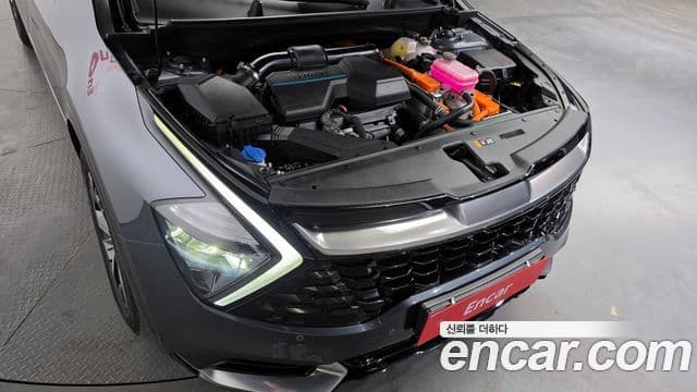 Kia Sportage 2021 — ფოტო 6/20
