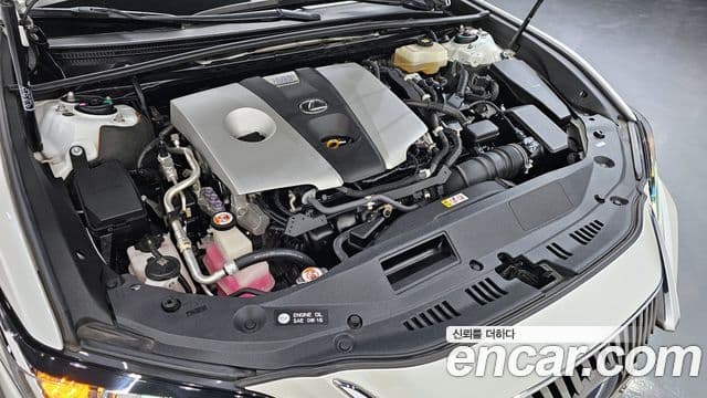 Lexus ES300h 2020 — Şəkil 6/20