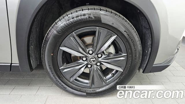 Lexus UX300h 2025 — Photo 5/20