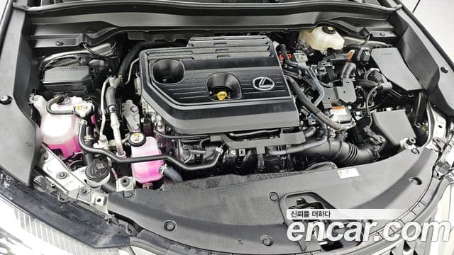 Lexus UX300h 2025 — Photo 13/20