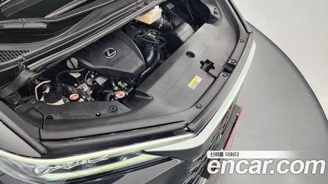 Lexus LM 2025 — Photo 9/44