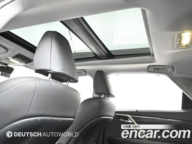 Lexus RX450h 2019 — ფოტო 8/20