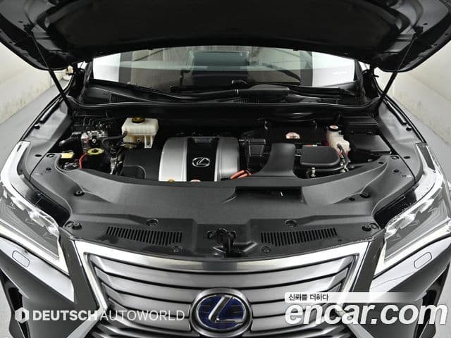 Lexus RX450h 2019 — ფოტო 19/20
