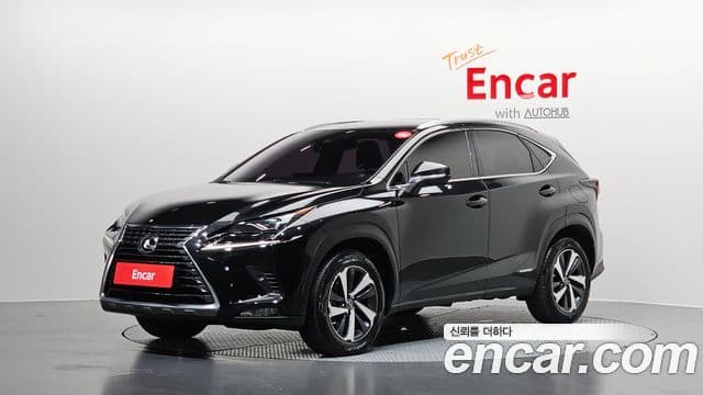 Lexus NX300h 2021 — Photo 30/30