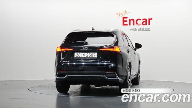 Lexus NX300h 2021 — ფოტო 4/20