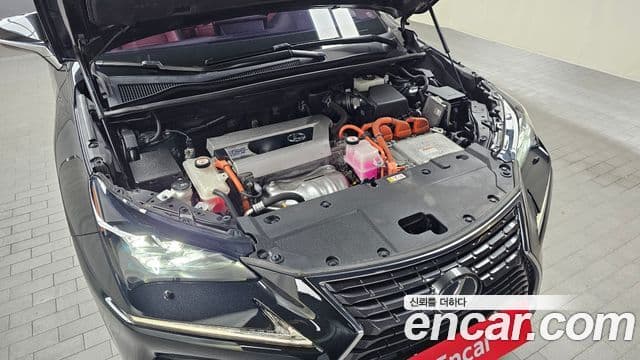 Lexus NX300h 2021 — ფოტო 6/20