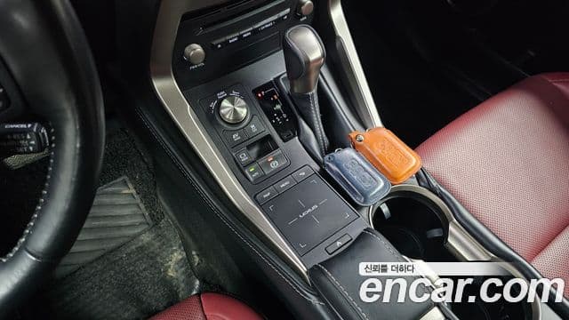 Lexus NX300h 2021 — ფოტო 9/20