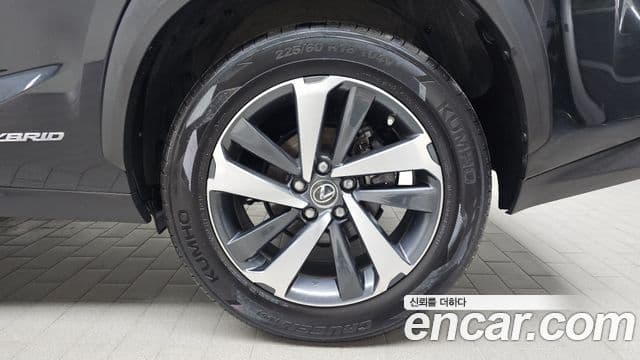 Lexus NX300h 2021 — Photo 21/30