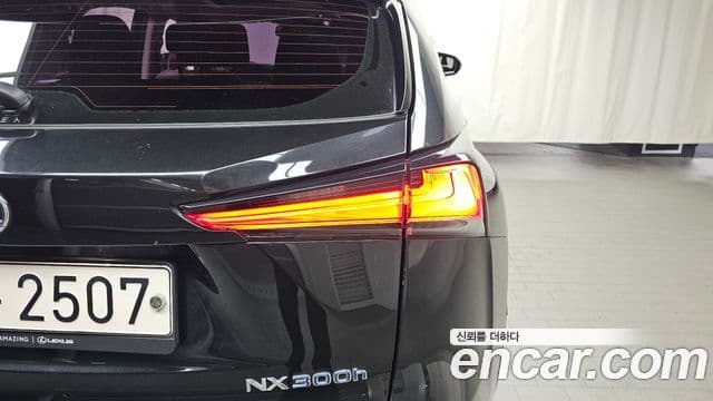 Lexus NX300h 2021 — Photo 29/30