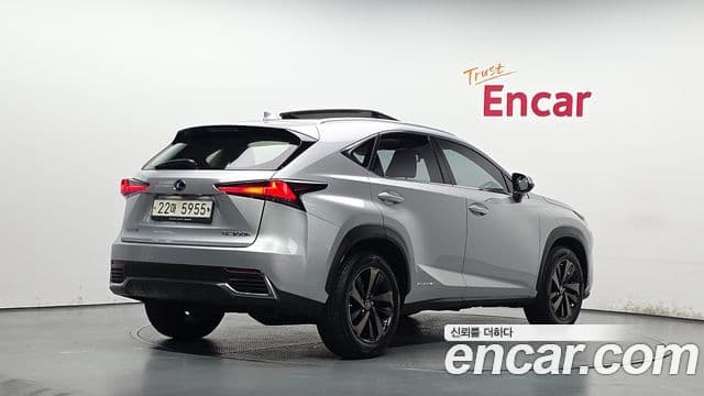 Lexus NX300h 2018 — Photo 18/20