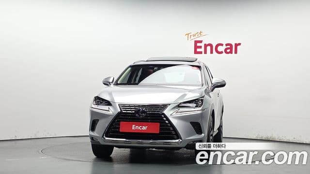 Lexus NX300h 2018 — Photo 19/20
