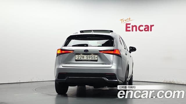 Lexus NX300h 2018 — Photo 13/20