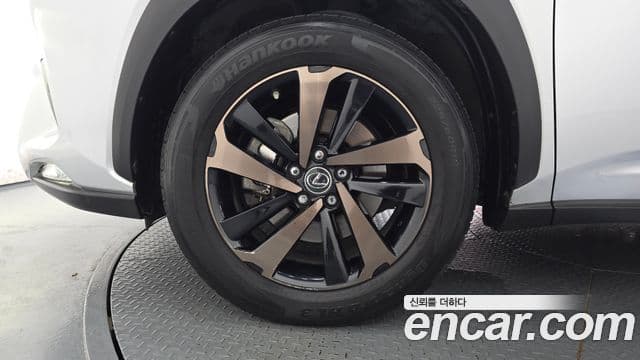 Lexus NX300h 2018 — Photo 16/20