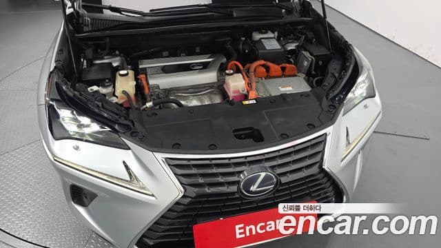 Lexus NX300h 2018 — Photo 7/20