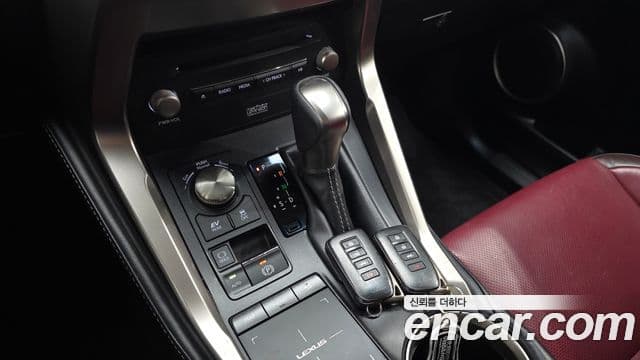 Lexus NX300h 2018 — Photo 15/20