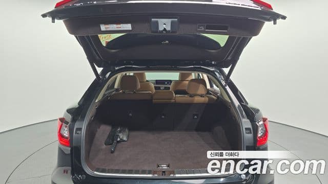 Lexus RX450h 2019 — Şəkil 18/20