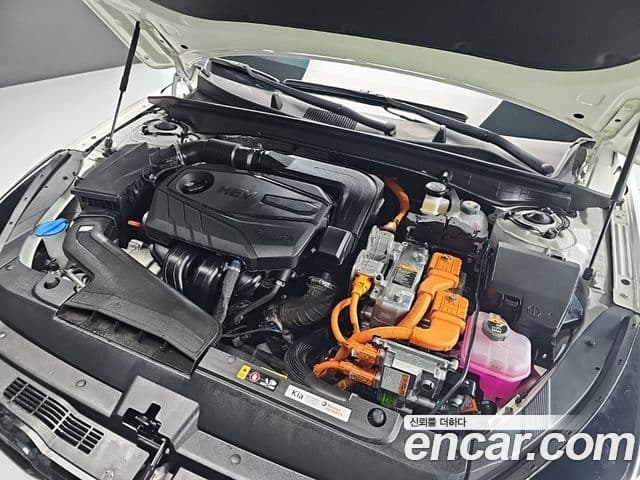 Kia K5 2024 — ფოტო 5/20