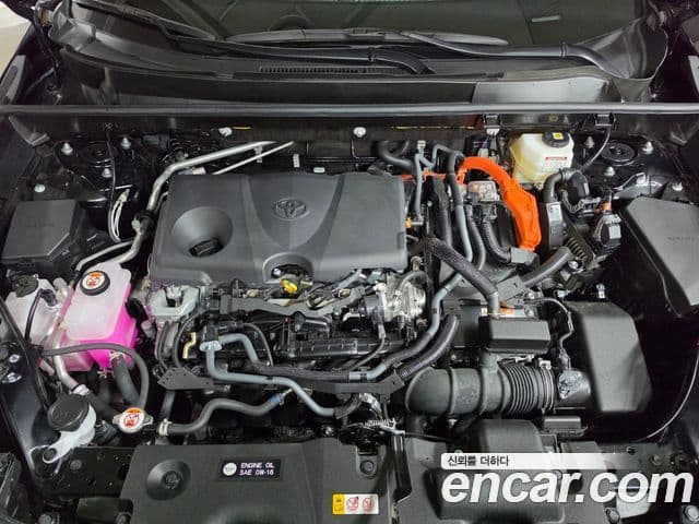 Toyota RAV4 2025 — ფოტო 5/19
