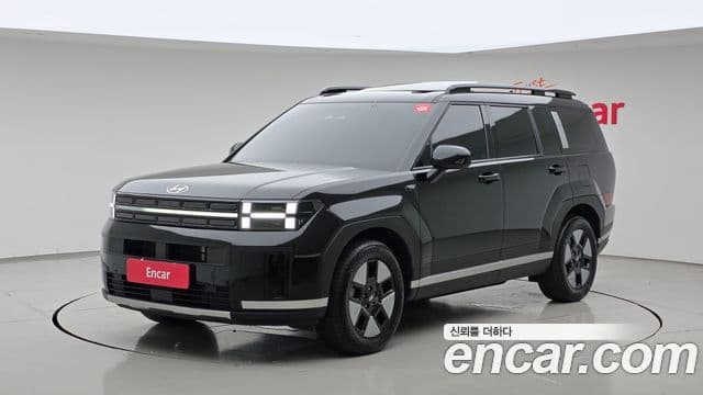 Hyundai Santa Fe 2024 — ფოტო 1/20
