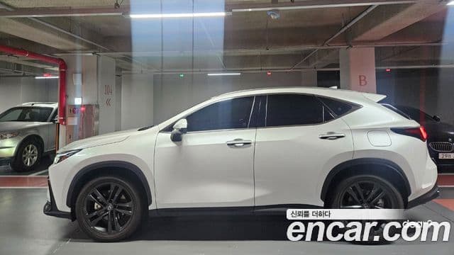 Lexus NX350h 2025 — Фото 9/13