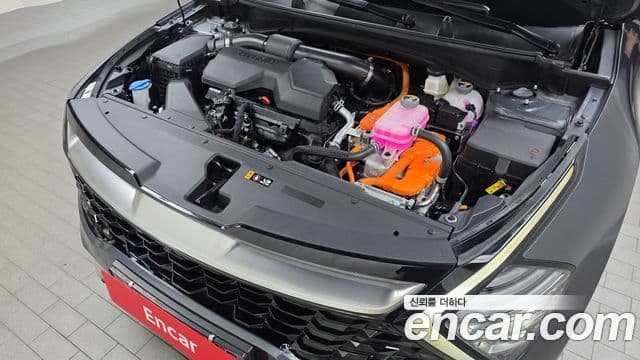 Kia Sportage 2024 — Şəkil 6/20