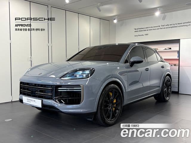 Porsche Cayenne 2025 — ფოტო 20/20