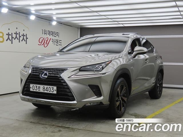 Lexus NX300h 2018 — ფოტო 20/20