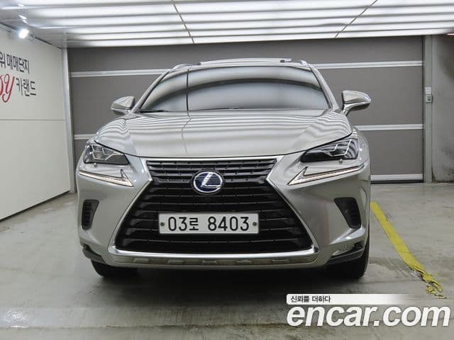 Lexus NX300h 2018 — ფოტო 1/20