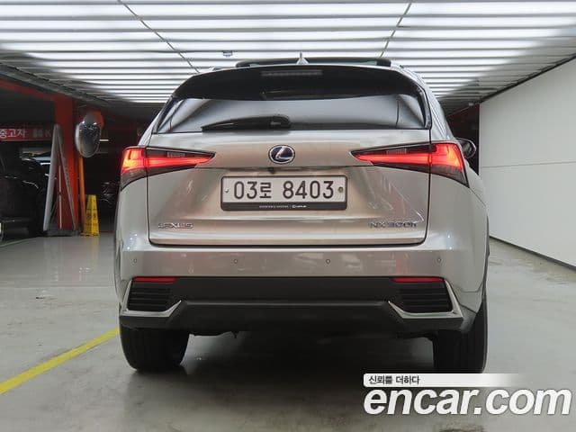 Lexus NX300h 2018 — Şəkil 2/20