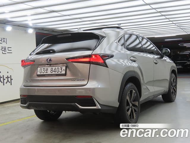 Lexus NX300h 2018 — ფოტო 3/20