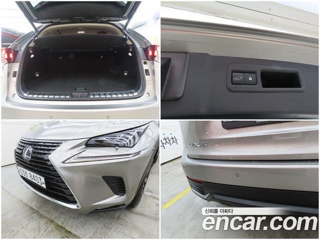 Lexus NX300h 2018 — ფოტო 17/20